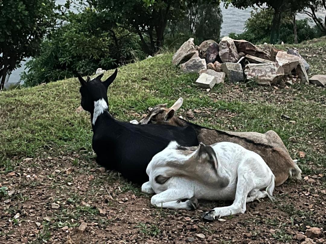 Amazi Land Home And Farm Stay Kibuye Eksteriør bilde
